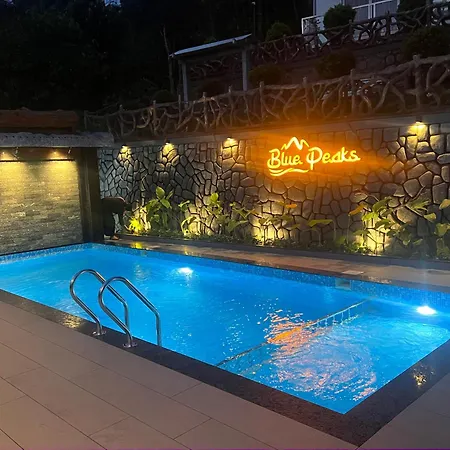 Blue Peaks Holidays Swimming Pool Cottage Munnar-3